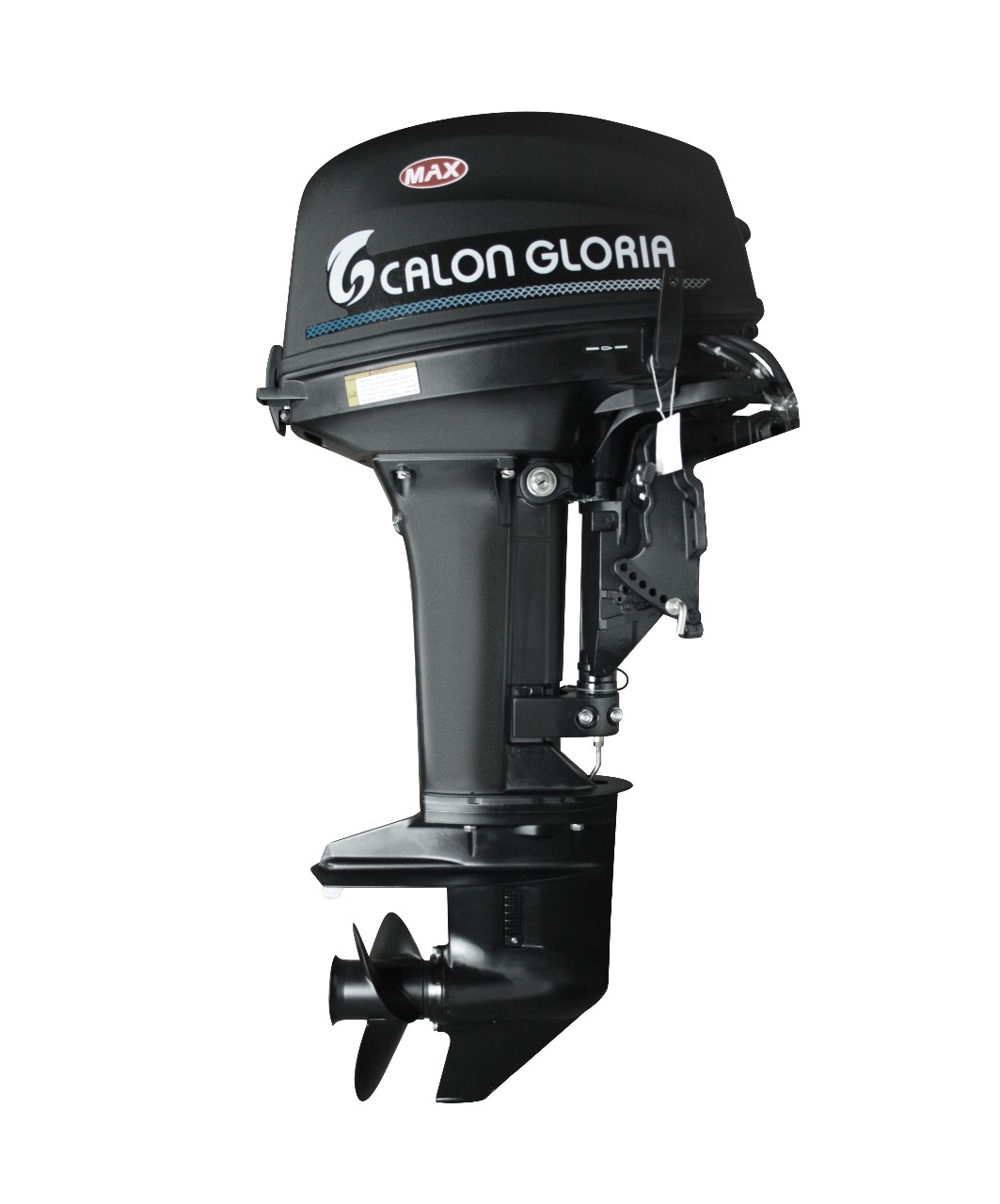 Calon Gloria T 9.9 FWS MAX (9,9 л.с., 2 такта)