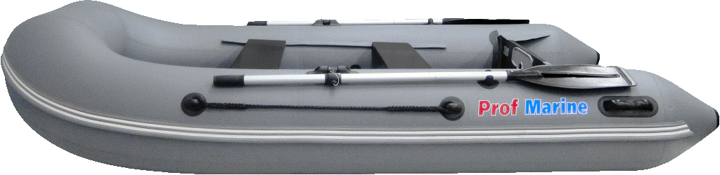 ProfMarine PM 300 CL