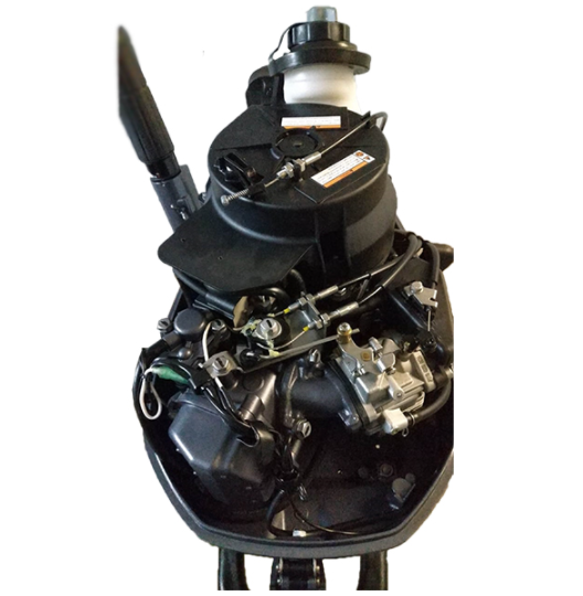 ALLFA CG F6 (6 л.с., 4 такта)