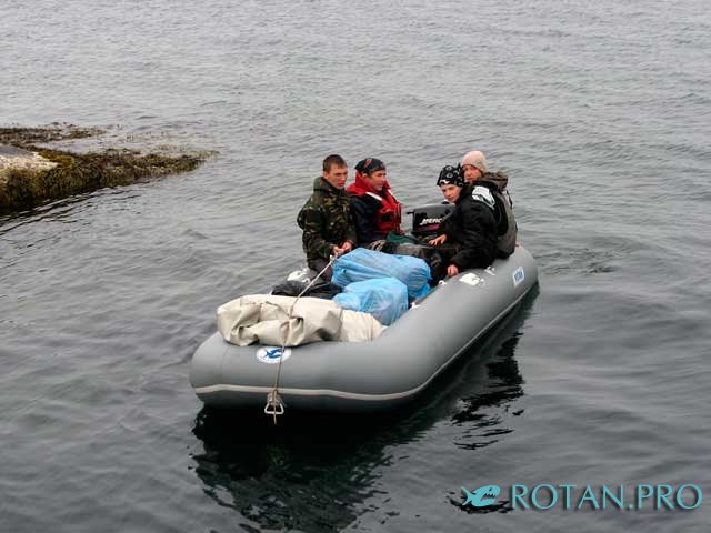 Ротан Р 500 Э Л