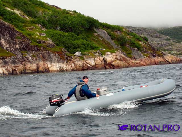 Ротан Р 500 Э Л